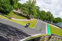 anglesey;brands-hatch;cadwell-park;croft;donington-park;enduro-digital-images;event-digital-images;eventdigitalimages;mallory;no-limits;oulton-park;peter-wileman-photography;racing-digital-images;silverstone;snetterton;trackday-digital-images;trackday-photos;vmcc-banbury-run;welsh-2-day-enduro